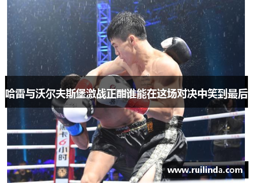 哈雷与沃尔夫斯堡激战正酣谁能在这场对决中笑到最后 哈雷与沃尔夫斯堡激战正酣谁能在这场对决中笑到最后