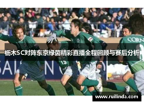 枥木SC对阵东京绿茵精彩直播全程回顾与赛后分析